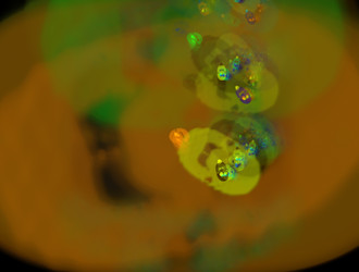 Similar image 22023208