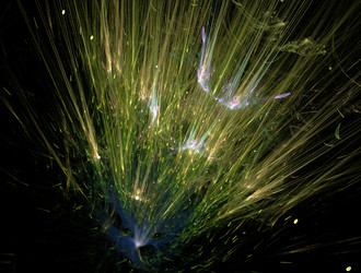 Similar image 22021033