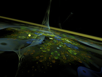 Similar image 22021800