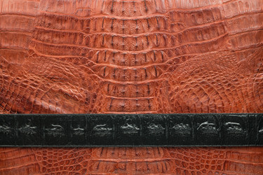 Similar image 22037756