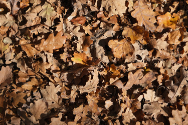 Similar image 22037757