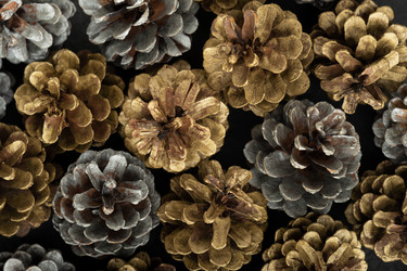 Similar image 22037758