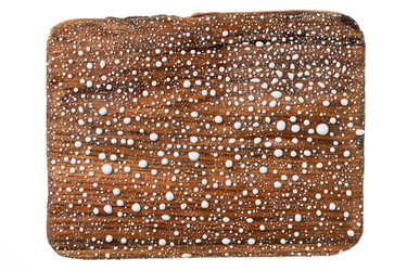 Similar image 22037767