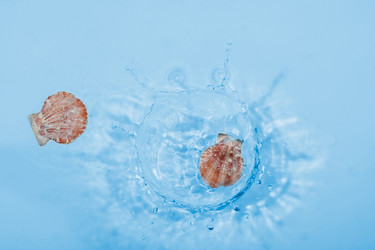 Similar image 22037982