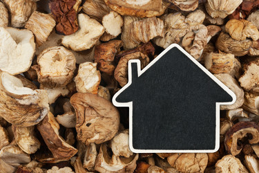 Similar image 22038013