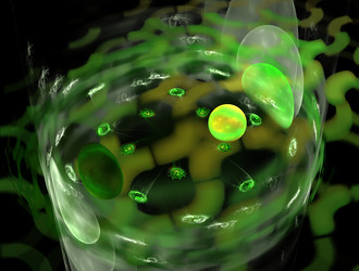 Similar image 22024057