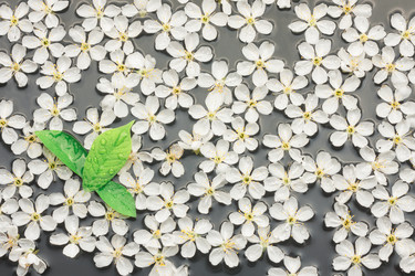 Similar image 22037783