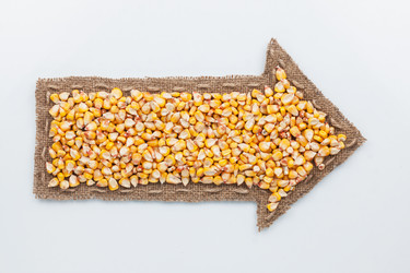 Similar image 22037793