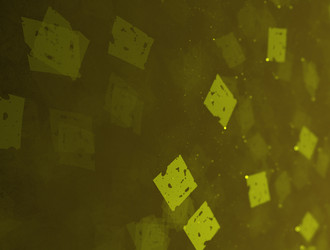 Similar image 22020583