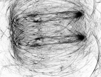 Similar image 22023231