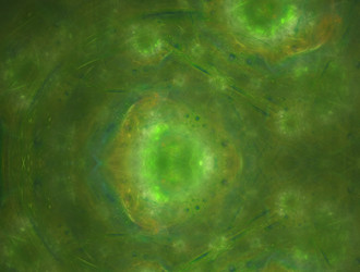 Similar image 22023688