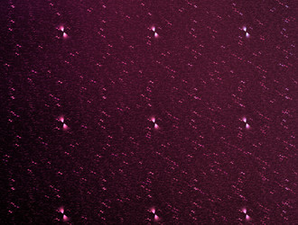 Similar image 22021821