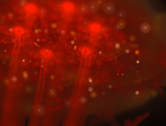 Similar image 22022229