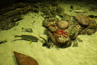 Similar image 22037796