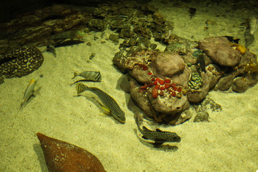 Similar image 22037797