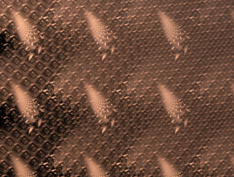 Similar image 22020135