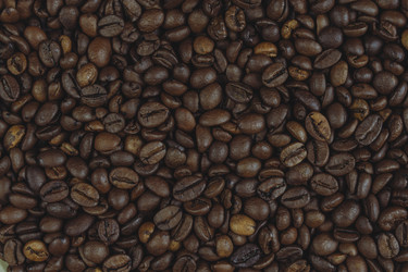 Similar image 22025098