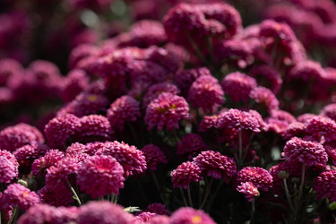 Similar image 22042184