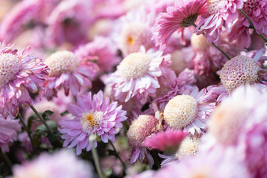 Similar image 22042187