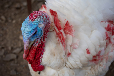 Similar image 22042221