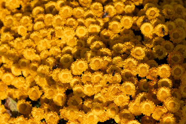 Similar image 22042222