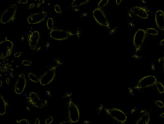 Similar image 22019913