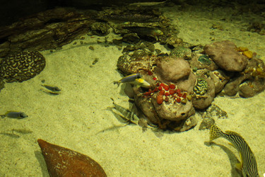 Similar image 22037800