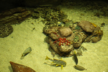 Similar image 22037801