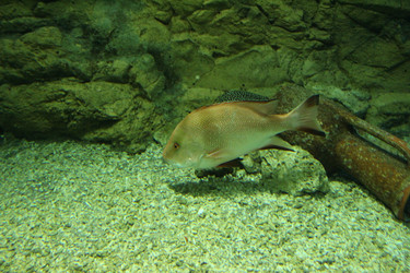 Similar image 22037804