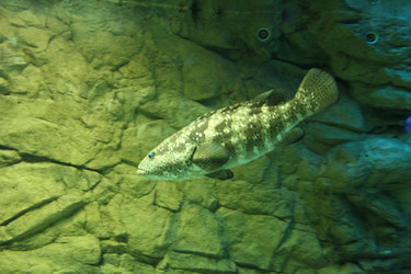 Similar image 22037805