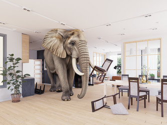 Similar image 22041071