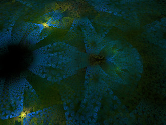 Similar image 22020145