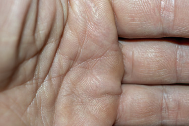 Similar image 22038866