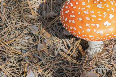 Similar image 22036986