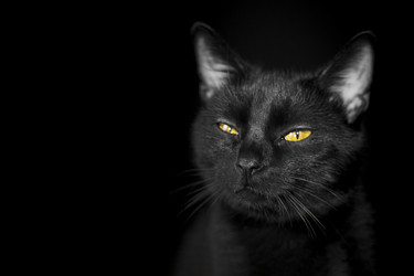 Similar image 22038560