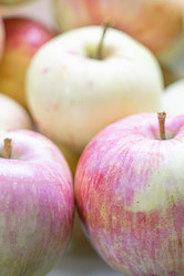 Similar image 22038564