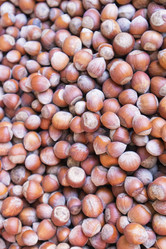 Similar image 22038908