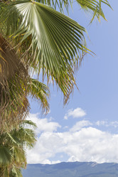 Similar image 22038574