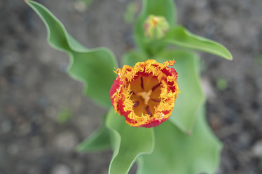 Similar image 22038585