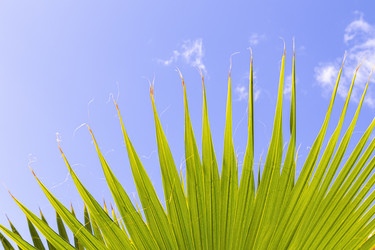 Similar image 22038607