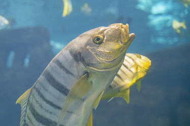 Similar image 22038921