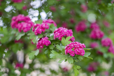 Similar image 22038925