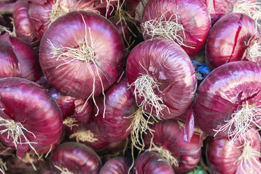 Similar image 22038318