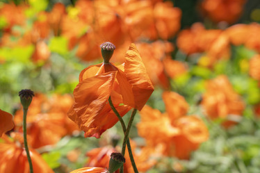 Similar image 22038319