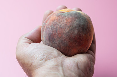 Similar image 22038327