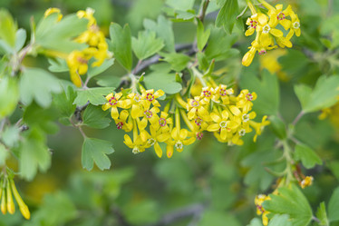 Similar image 22038618