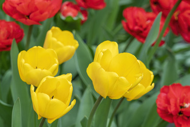 Similar image 22038619