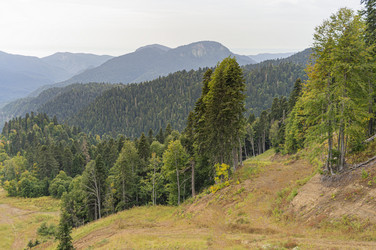 Similar image 22038624