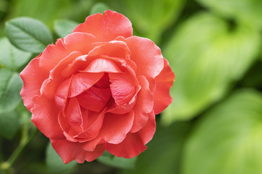 Similar image 22038629