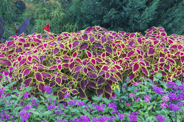 Similar image 22038630